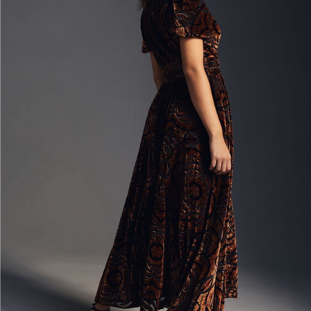 Anthropologie Burnout Velvet Dress. NWT. Size 12. Sold out in stores.